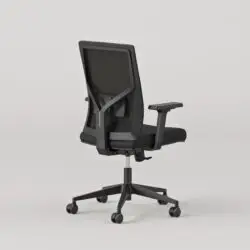 231